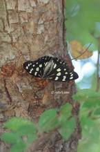 20110628_012.jpg