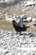 20110716_069.jpg