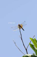 20110716_131.jpg