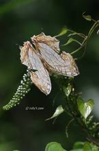 20110716_205.jpg