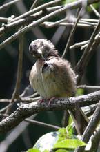 20110716_241.jpg