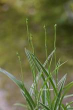 20110722_007.jpg