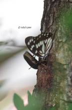 20110722_065.jpg