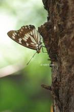 20110722_101.jpg