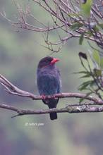20110723_001.jpg