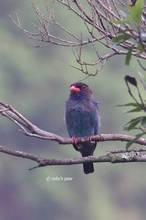 20110723_005.jpg