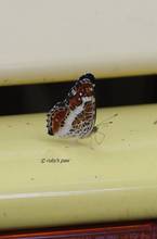 20110723_122.jpg