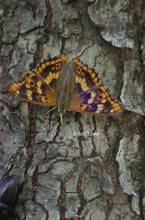 20110724_044.jpg
