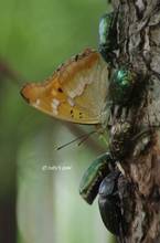 20110724_067.jpg