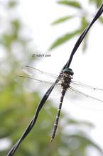 20110727_015.jpg
