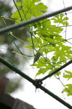 20110727_016.jpg
