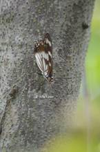 20110803_030.jpg
