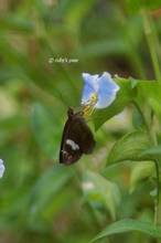 20110811_013.jpg