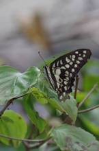 20110811_032.jpg