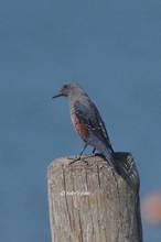 20110827_051.jpg