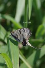 20110827_098.jpg