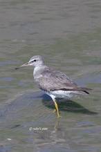 20110827_111.jpg