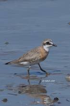 20110827_146.jpg