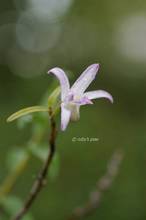 20110909_004.jpg