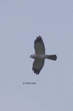 20110911_001.jpg