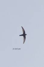 20110911_025.jpg