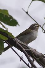 20110913_012.jpg