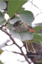 20110913_028.jpg