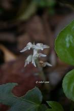 20110923_088.jpg