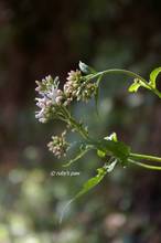 20110923_096.jpg