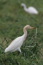 20110925_002.jpg