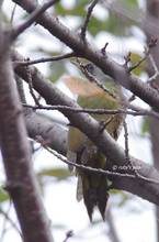 20110925_005.jpg