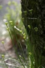 20111006_025.jpg