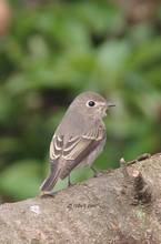 20111007_023.jpg