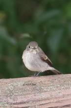 20111007_026.jpg