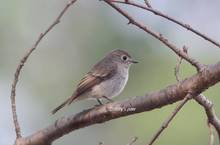 20111007_034.jpg