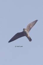 20111007_053.jpg