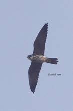 20111007_057.jpg
