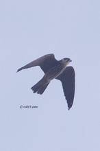 20111007_095.jpg