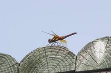 20111008_045.jpg
