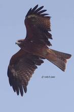 20111008_074.jpg