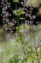 20111009_138.jpg