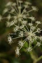 20111009_143.jpg