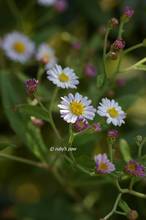 20111009_152.jpg