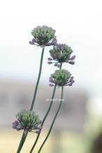 20111009_160.jpg