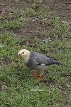 20111017_047.jpg