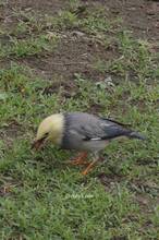 20111017_049.jpg
