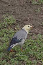 20111017_052.jpg