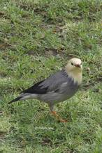20111017_080.jpg