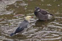 20111017_105.jpg