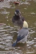 20111017_107.jpg
